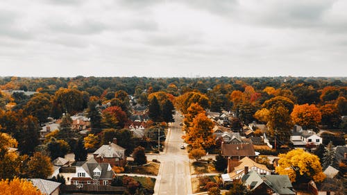 有关Copyspace, 下落, 住的免费素材图片