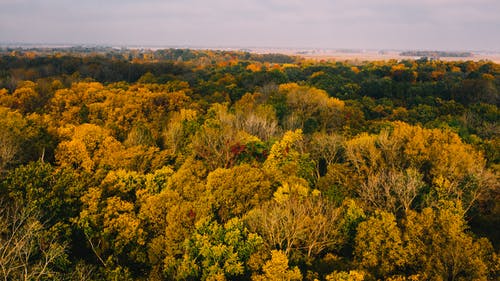 有关Copyspace, 下落, 不变的免费素材图片