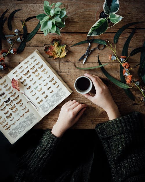 作物与书和咖啡的女人 · 免费素材图片