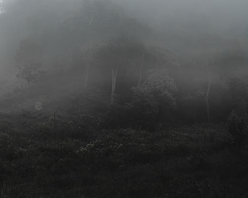 有关冷静, 土地, 地形的免费素材图片