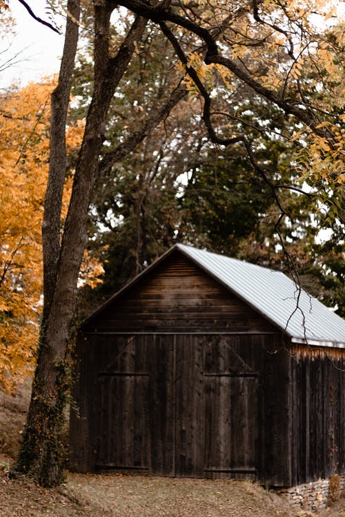有关atmosfera de outono, 下落, 储藏屋的免费素材图片
