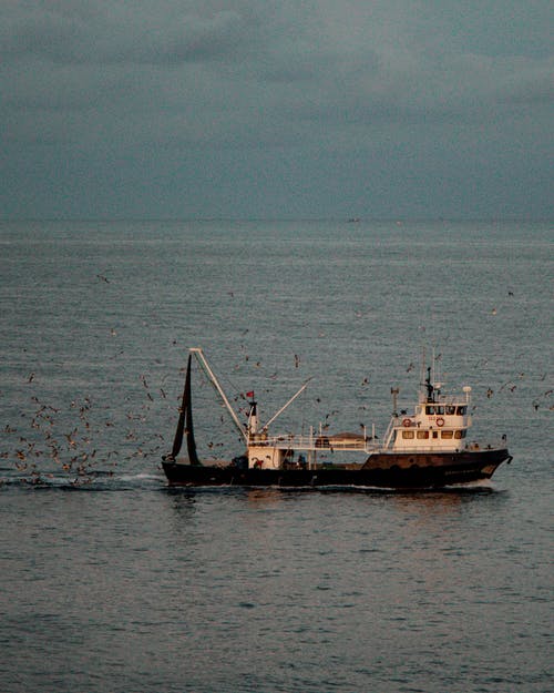 有关拖网渔船, 水, 海的免费素材图片