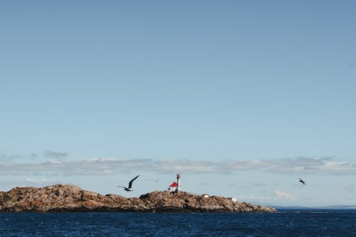 有关冷静, 和平, 和平的的免费素材图片