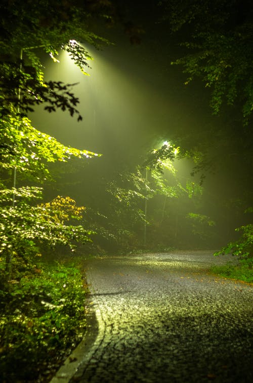 有关垂直拍摄, 小径, 晚上的免费素材图片
