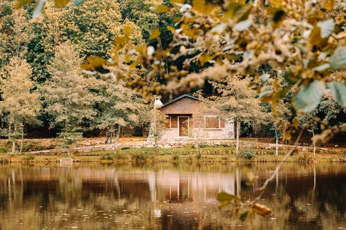 湖在森林里的海岸上的房子 · 免费素材图片