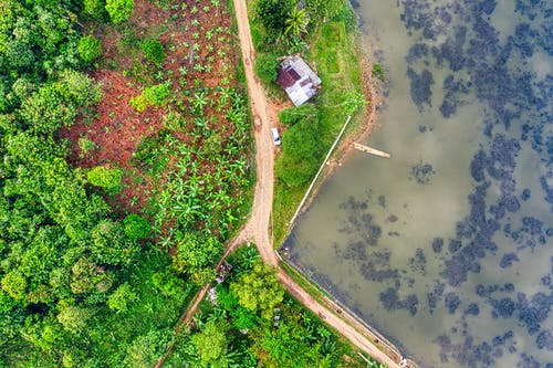 有关和平的, 夏天, 天性的免费素材图片