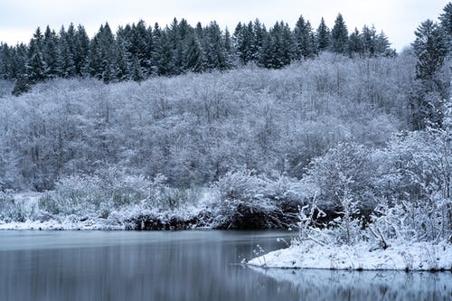 有关冬季, 冬季景觀, 冷的免费素材图片