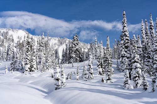 有关冬季景观, 大雪覆盖, 天性的免费素材图片