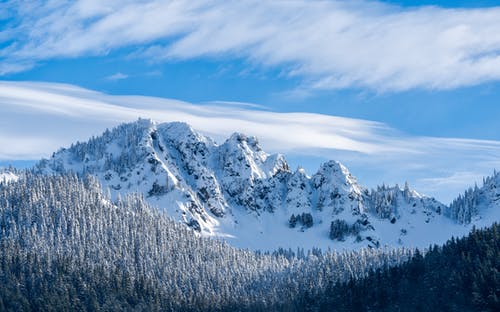 有关下雪的, 冬季, 天性的免费素材图片
