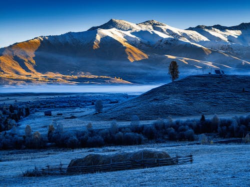 有关冷, 大雪覆盖, 天性的免费素材图片