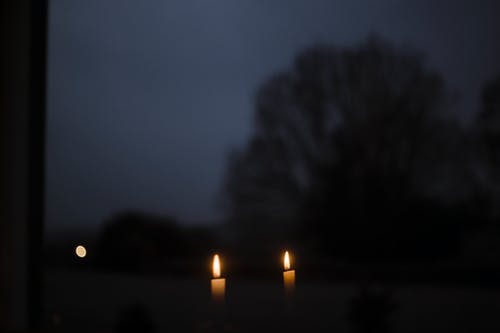 有关光, 冷静, 剪影的免费素材图片