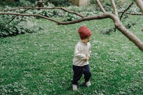 站在绿草地上的棕色连帽衫的男孩 · 免费素材图片