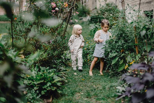 站在绿色的植物旁边的白色连衣裙的女孩 · 免费素材图片