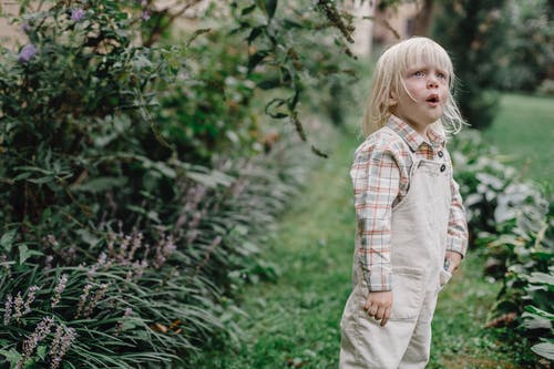 站在绿色的植物附近的白色和蓝色格子衬衫的女孩 · 免费素材图片
