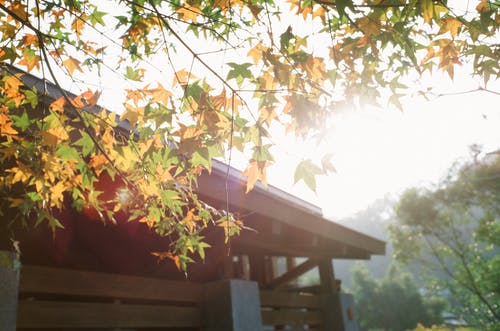 有关不动产, 住宅, 光的免费素材图片