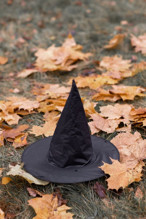 戴着黑帽子的干树叶 · 免费素材图片