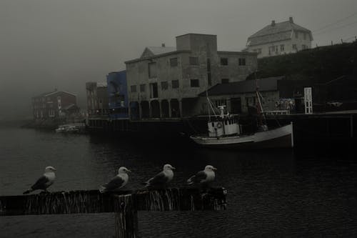 有关住, 住宅, 冷静的免费素材图片