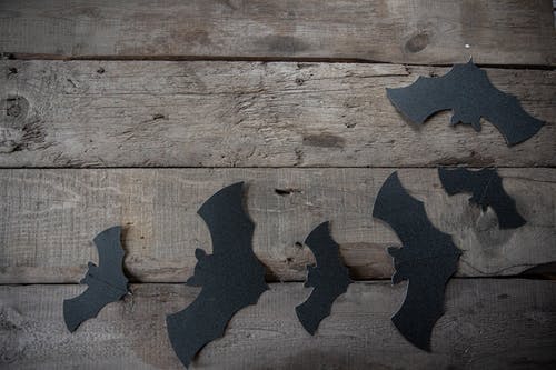 黑纸蝙蝠装饰木制的桌子上 · 免费素材图片