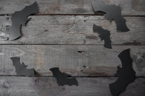 棕色木板与抠出蝙蝠 · 免费素材图片