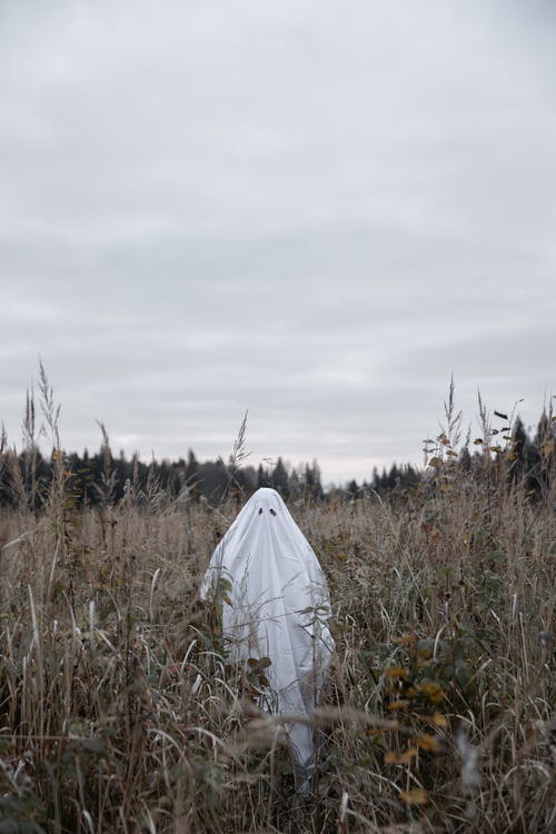 幽灵般的服装，在草地上的人 · 免费素材图片