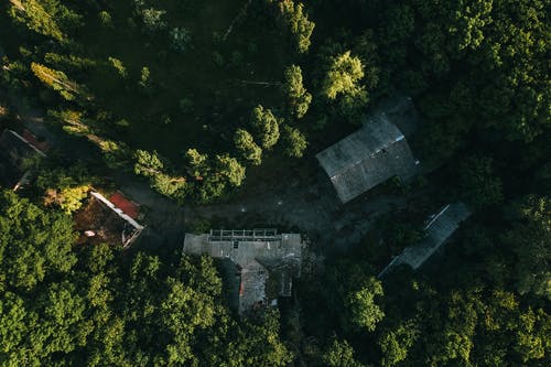 有关原本, 和平的, 和谐的免费素材图片