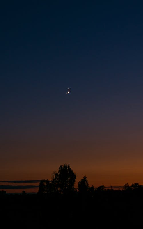 有关剪影, 半月, 垂直拍摄的免费素材图片