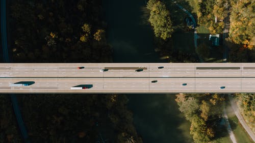 有关和平的, 和谐, 国家的免费素材图片