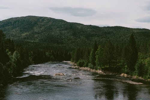 在山与绿色森林中流动的平静河 · 免费素材图片