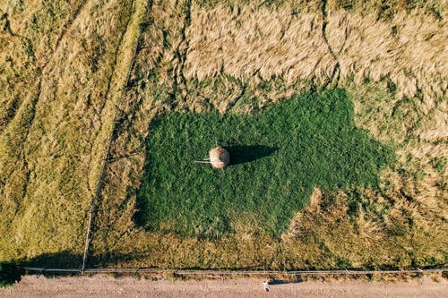 有关乾的, 乾草, 乾草堆的免费素材图片