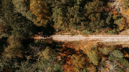 有关下落, 俯视图, 原本的免费素材图片