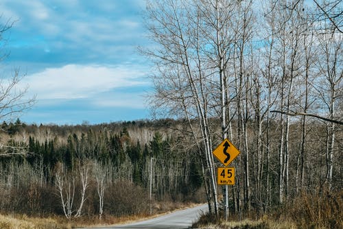 有关冷静, 原本, 和平的的免费素材图片