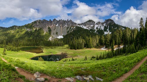 有关人行道, 天性, 山谷的免费素材图片