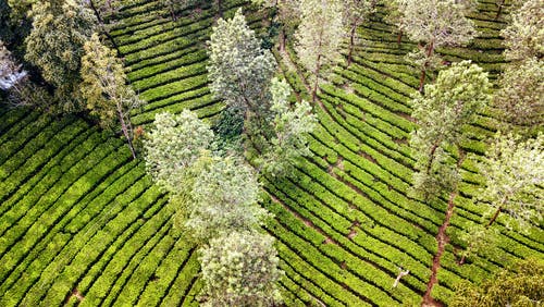 有关冷静, 和平的, 和谐的免费素材图片