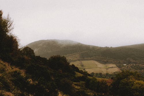 有关Copyspace, 下落, 冷的免费素材图片