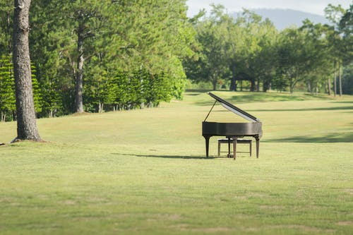 有关三角钢琴, 乐器, 树木的免费素材图片