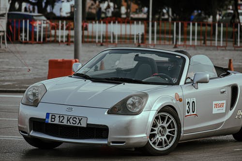 有关中央, 人种, 动态的免费素材图片