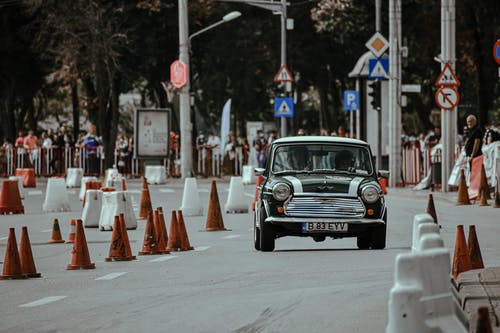 有关人种, 区域, 团结的免费素材图片