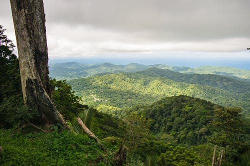 有关天性, 山, 山丘的免费素材图片