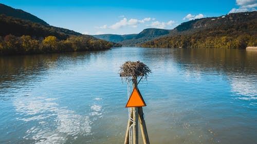 有关三角形, 公园, 冷静的免费素材图片