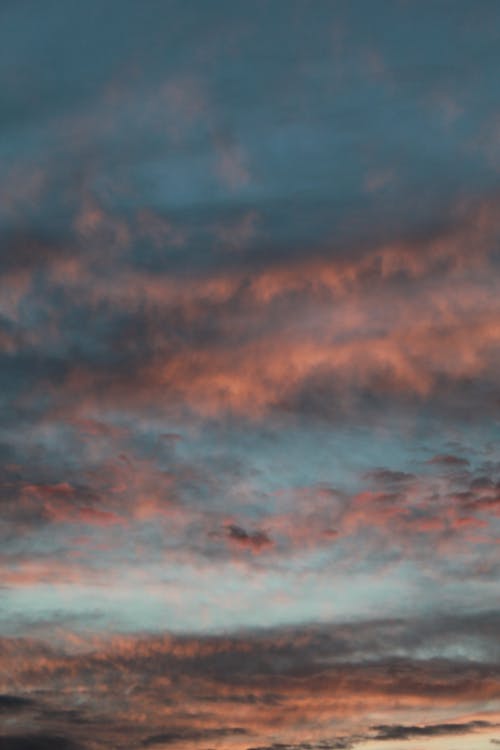 有关垂直拍摄, 天空, 日出的免费素材图片