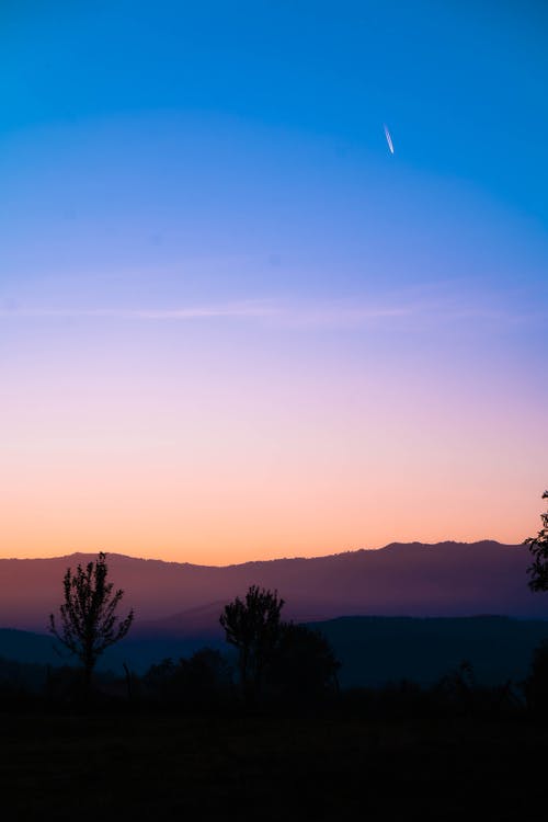 有关剪影, 垂直拍摄, 天性的免费素材图片