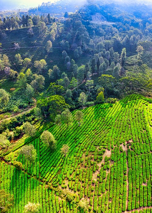 有关原本, 和平的, 土地的免费素材图片