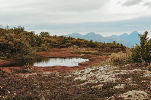 有关乾的, 公园, 冷静的免费素材图片