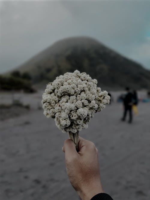 有关不露面, 人, 冷静的免费素材图片