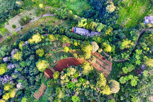 有关和平的, 地平线, 地形的免费素材图片