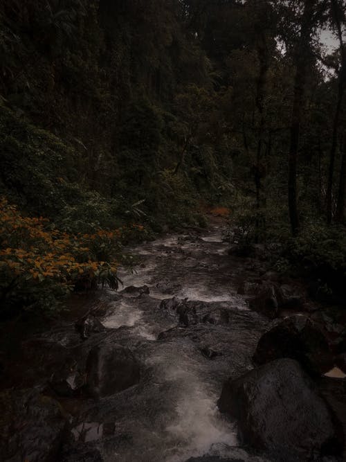 有关冷静, 和平的, 和谐的免费素材图片