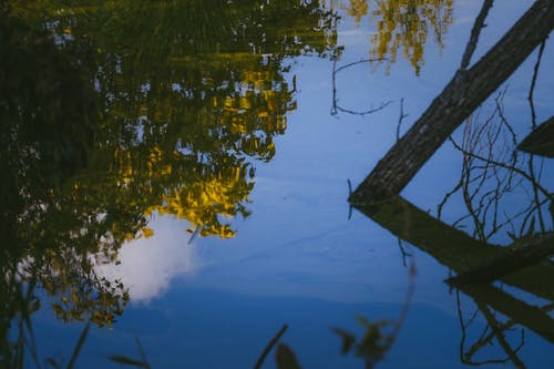 有关乾的, 光滑, 冷静的免费素材图片