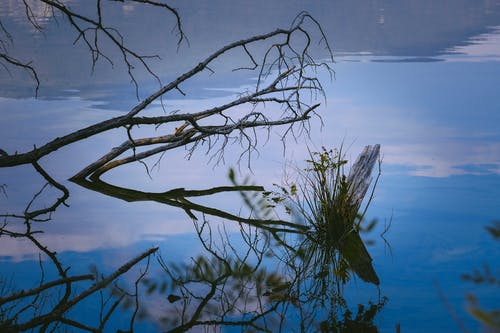 有关下落, 乾的, 冷静的免费素材图片