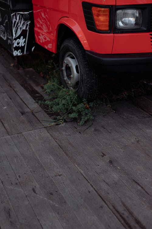 红色的车停在绿色的植物旁边 · 免费素材图片