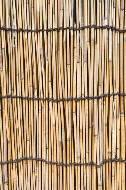 细竹茎的背景 · 免费素材图片